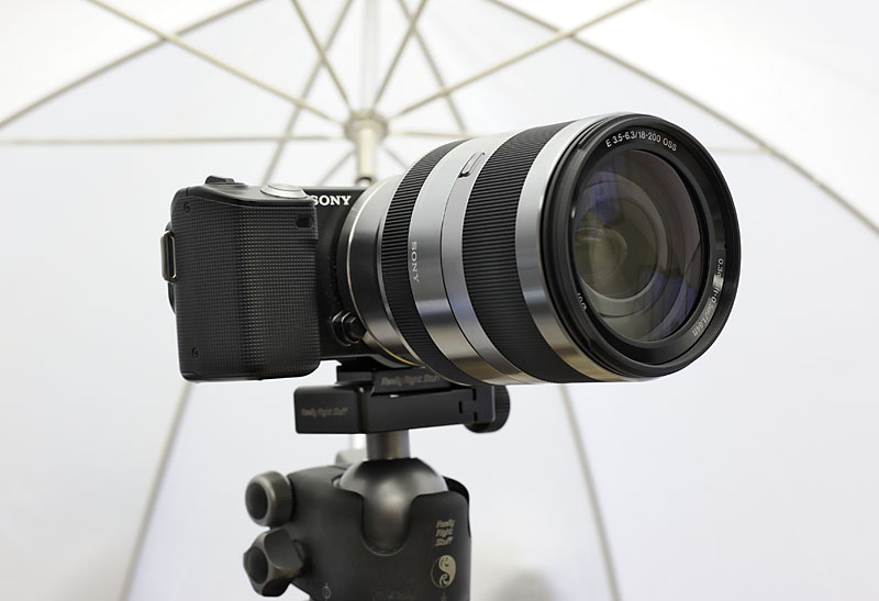 NEX-5 with 18-200mm OSS lens